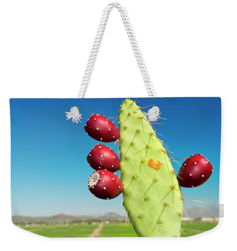 Estock Weekender Tote Bag featuring the digital art Cactus Fruit, Tucson, Az by Heeb Photos
