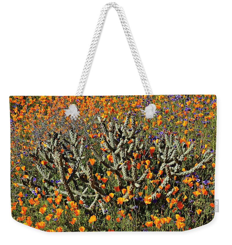Poppies Weekender Tote Bag featuring the photograph Cactus Poppies and Bluebells by Glenn McCarthy Art and Photography