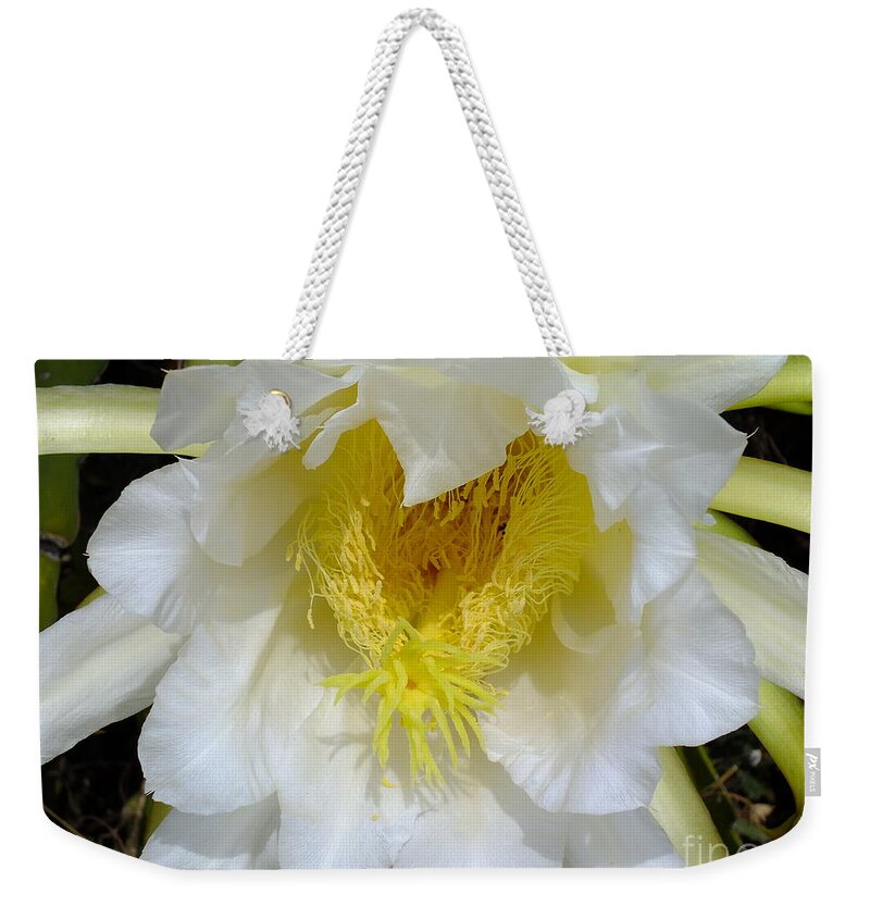 Cactus Weekender Tote Bag featuring the digital art Cactus smile by Yenni Harrison