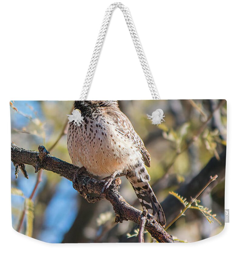 Bird Weekender Tote Bag featuring the photograph Cactus Wren in a Mesquite Tree by Teresa Wilson