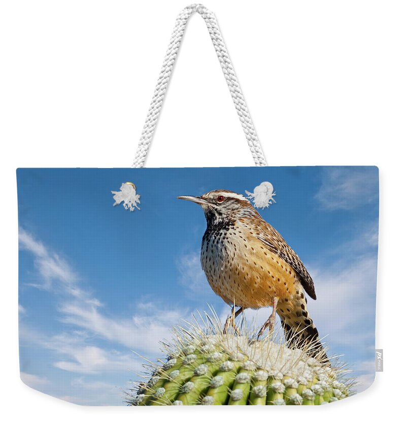 Adult Weekender Tote Bag featuring the photograph Cactus Wren on a Saguaro Cactus by Jeff Goulden