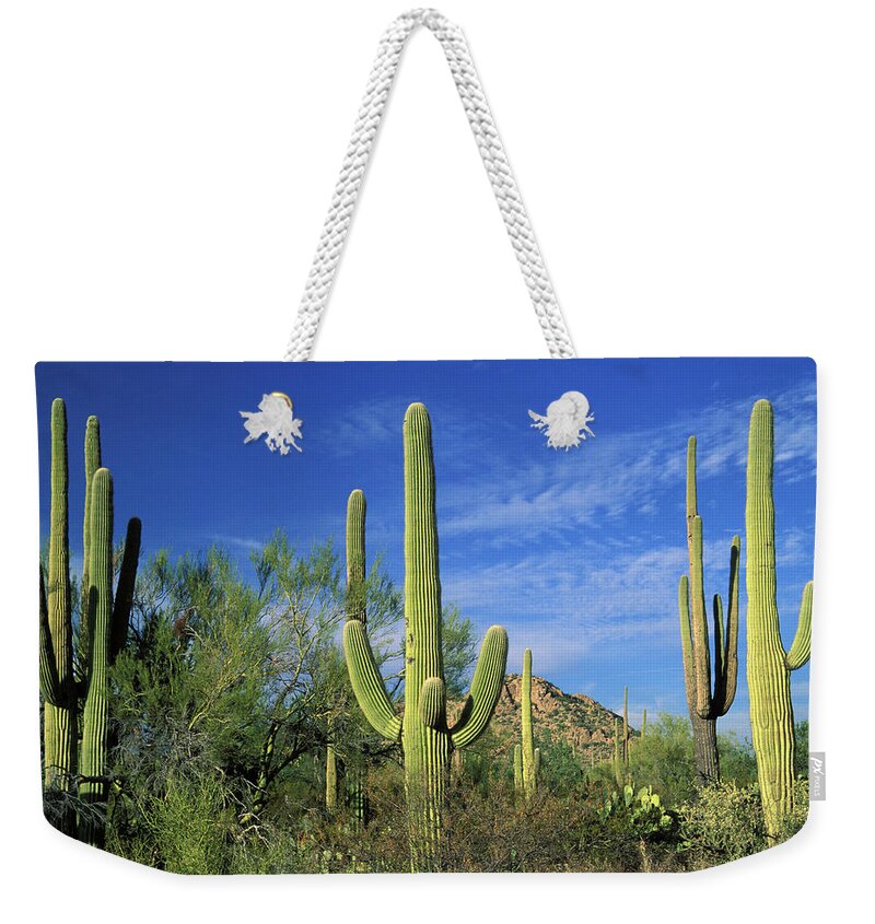 Saguaro Cactus Weekender Tote Bag featuring the photograph Cactuses In Saguaro National Park by Yenwen