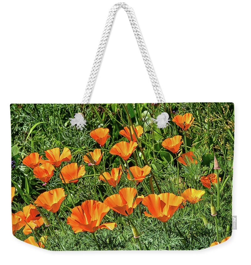 Linda Brody Weekender Tote Bag featuring the photograph California Poppies 4a by Linda Brody