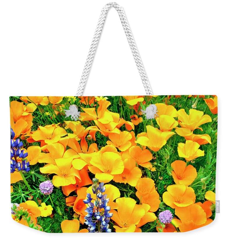 North America Weekender Tote Bag featuring the photograph California Poppies and Betham Lupines Southern California by Dave Welling