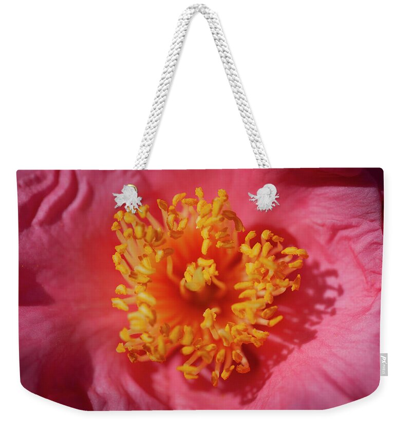 Camellia Weekender Tote Bag featuring the photograph Camellias Japonica 130 by Rich Franco