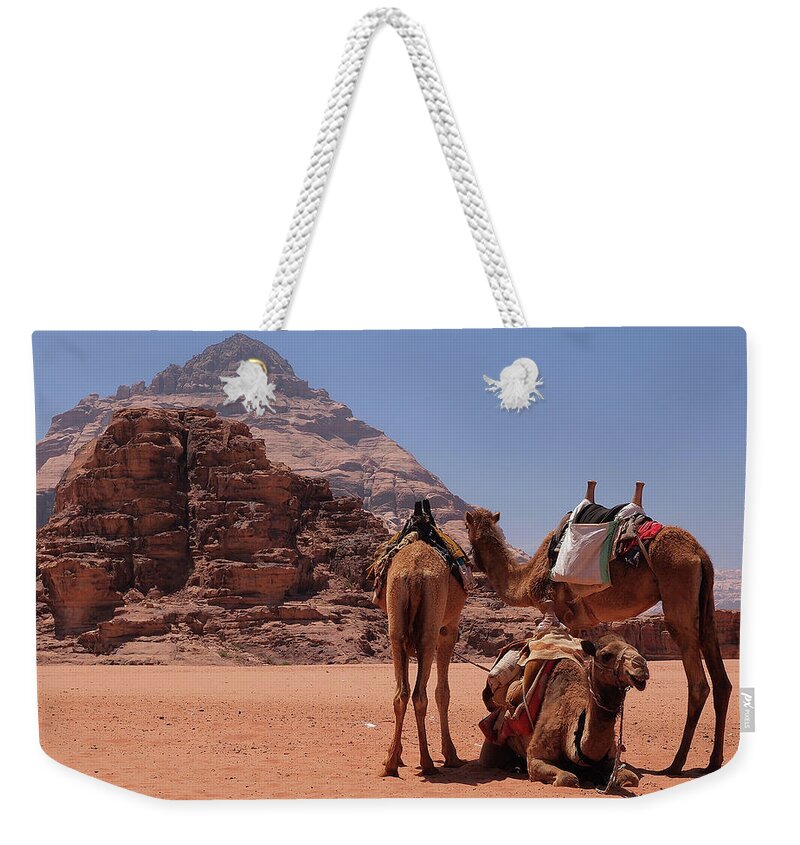 Working Animal Weekender Tote Bag featuring the photograph Camels In Wadi Rum -jordan by Manuel Chagas Fotografia