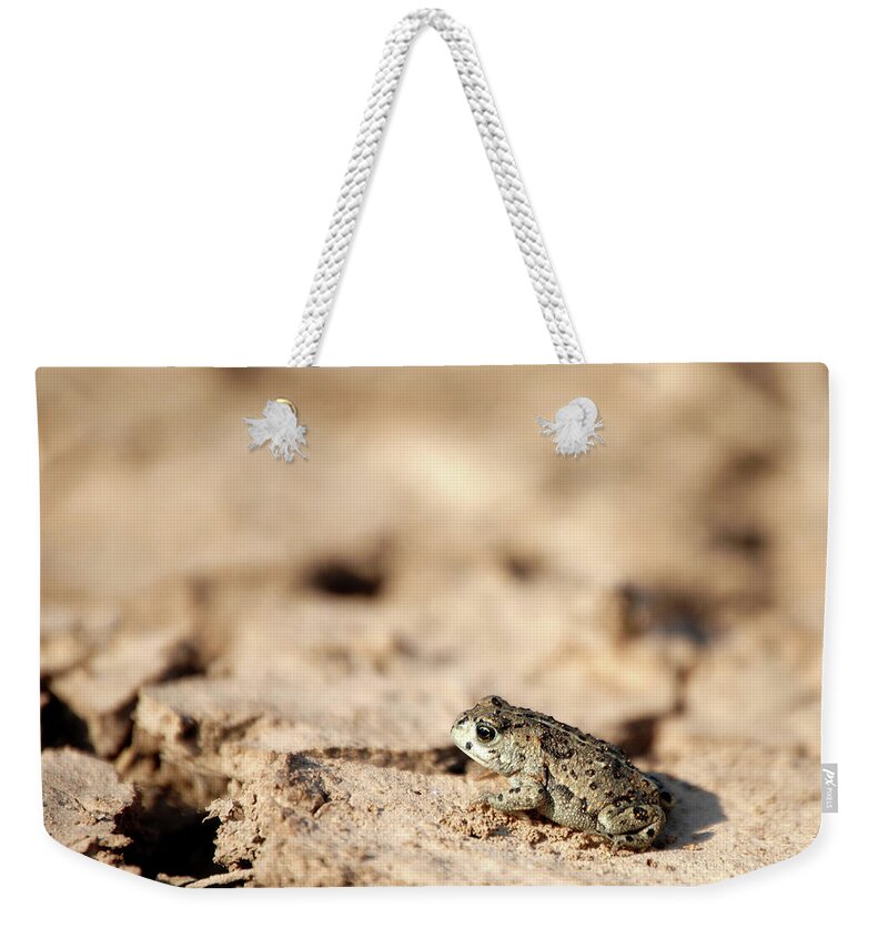 Shadow Weekender Tote Bag featuring the photograph Camouflage by Carlosgb