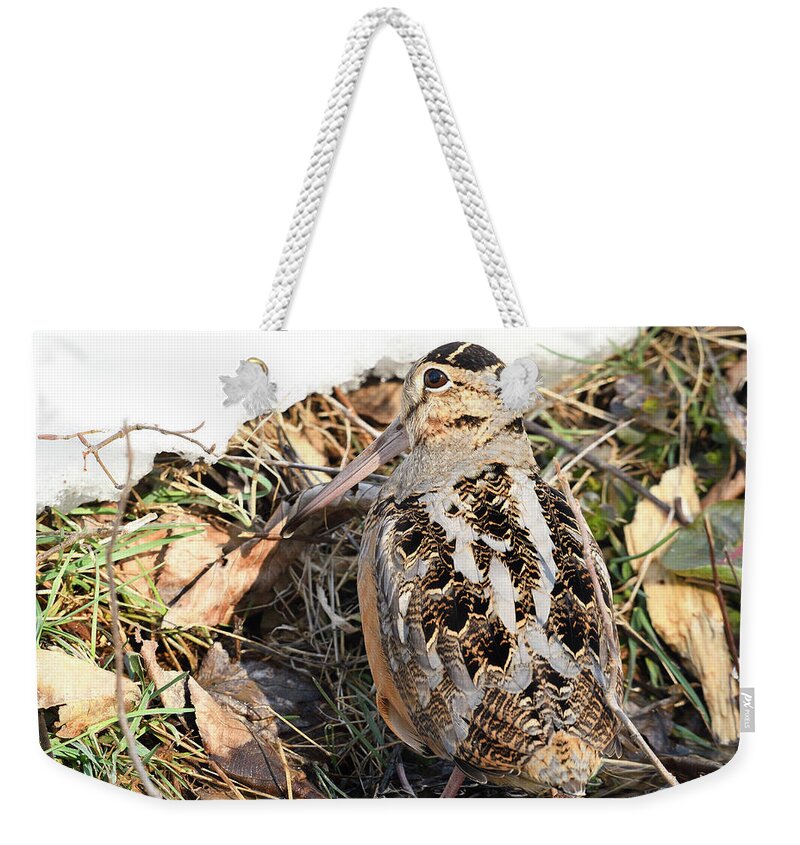 American Woodcock Weekender Tote Bag featuring the photograph Camouflaged American Woodcock by Timothy Flanigan