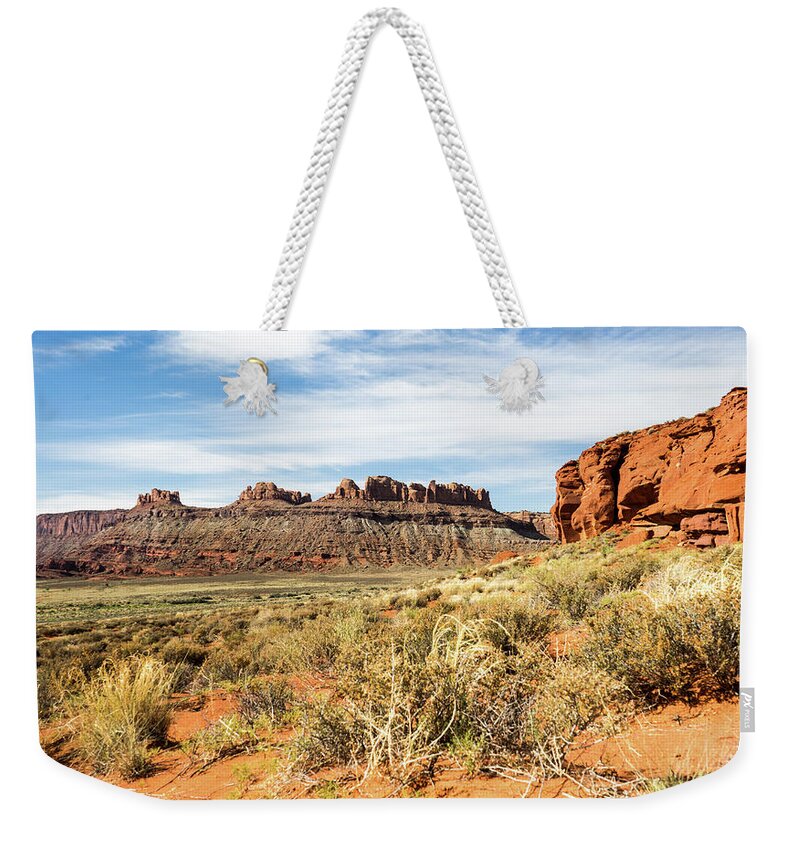 Canyonland Weekender Tote Bag featuring the photograph Canyonland Desert and Mountains by Douglas Barnett