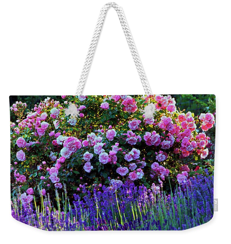 Outdoors Weekender Tote Bag featuring the photograph Cape Cod Garden by Richard Felber