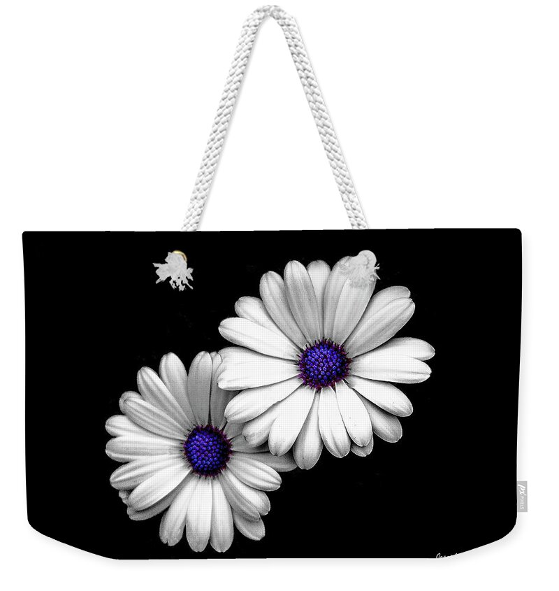 Daisy Weekender Tote Bag featuring the photograph Cape Daisy by Joseph Noonan