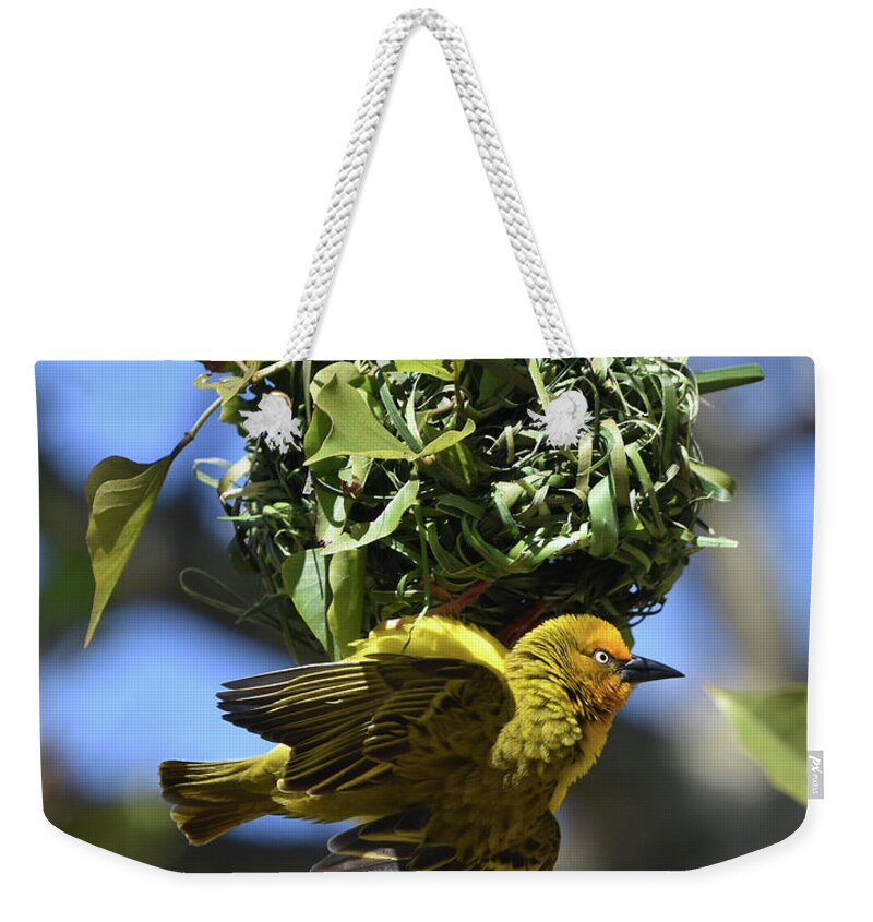 Weaver Weekender Tote Bag featuring the photograph Cape Weaver and Nest by Ben Foster
