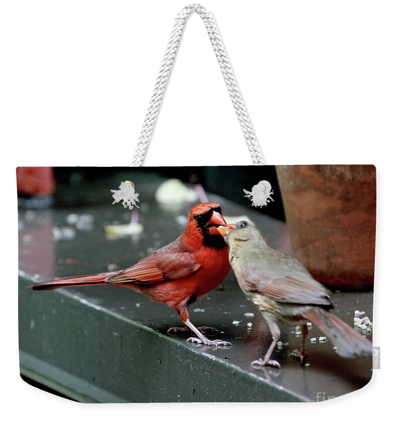 Female Northern Cardinal Weekender Tote Bag featuring the photograph Cardinal Love 2 by Patricia Youngquist