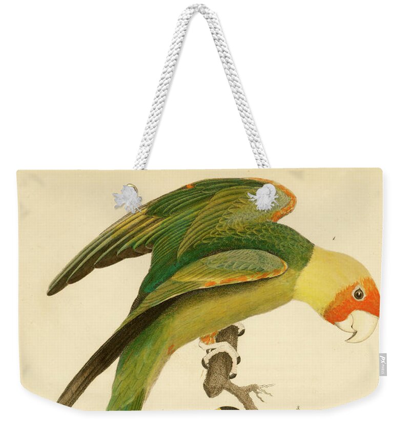 Birds Weekender Tote Bag featuring the mixed media Carolina Parrot by Alexander Wilson