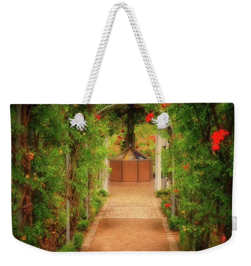 Rose Weekender Tote Bag featuring the photograph Cascading Roses by Yvonne Johnstone
