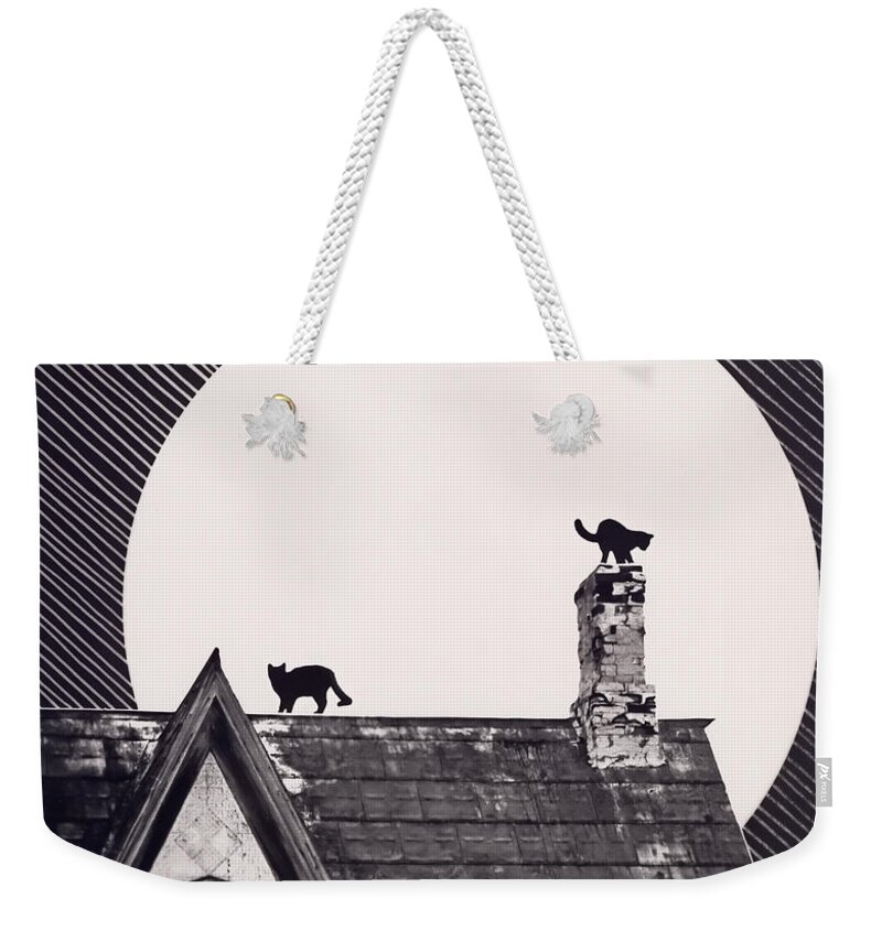 Pets Weekender Tote Bag featuring the photograph Cat House Moon by R.g.daniel