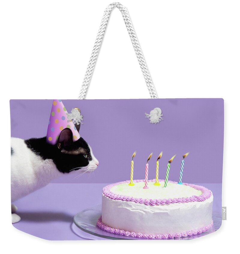 Pets Weekender Tote Bag featuring the photograph Cat Wearing Birthday Hat Blowing Out by Steven Puetzer
