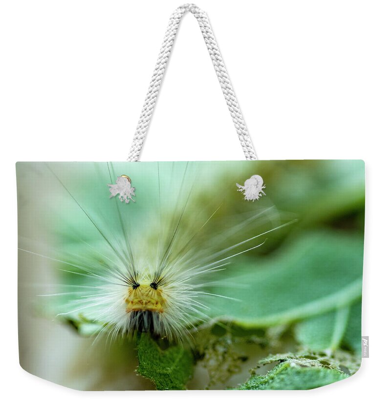 Macro Weekender Tote Bag featuring the photograph Caterpillar Macro by Cathy Kovarik