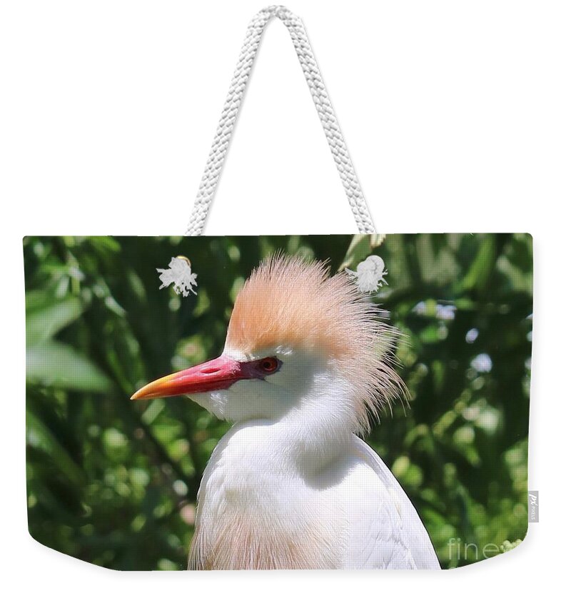 Cattle Egret Weekender Tote Bag featuring the photograph Cattle Egret Profile by Carol Groenen