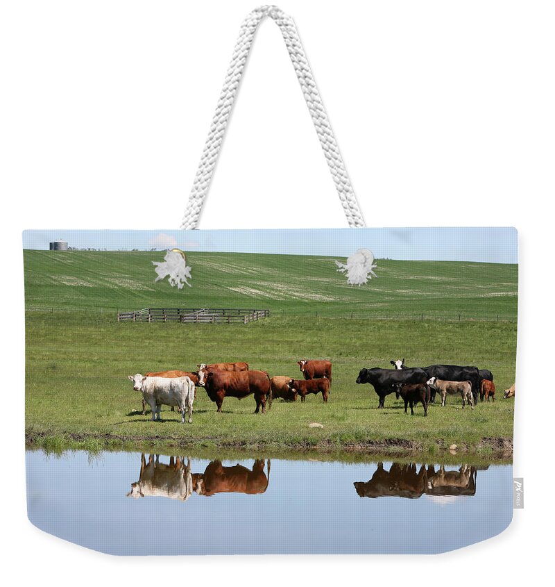 Scenics Weekender Tote Bag featuring the photograph Cattle On The Ranch Reflection by Constantgardener