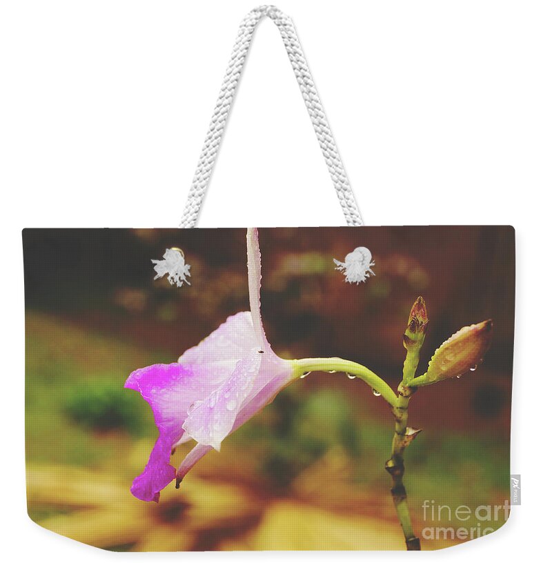 Cattleya Weekender Tote Bag featuring the photograph Cattleya Orchid Profile by Cassandra Buckley