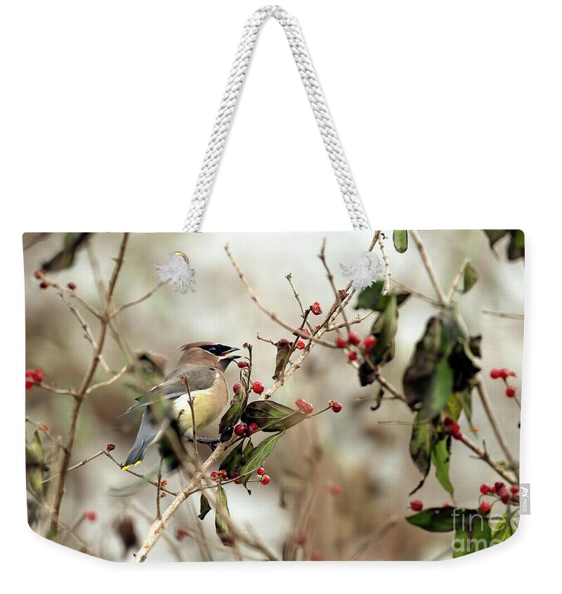 Cedar Waxwing Weekender Tote Bag featuring the photograph Cedar Waxwing by Sam Rino