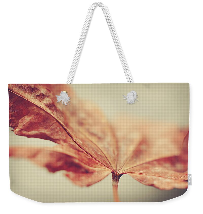 Rust Colored Weekender Tote Bag featuring the photograph Central Focus by Michelle Wermuth