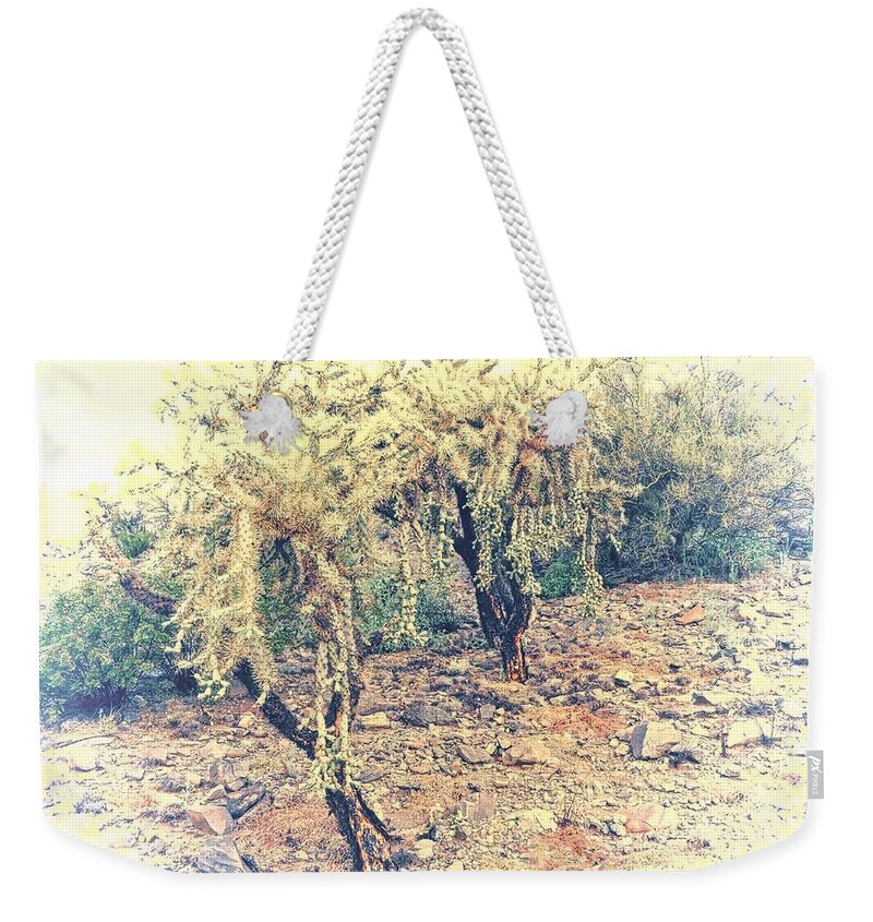 Affordable Weekender Tote Bag featuring the photograph Chain Fruit Cholla by Judy Kennedy