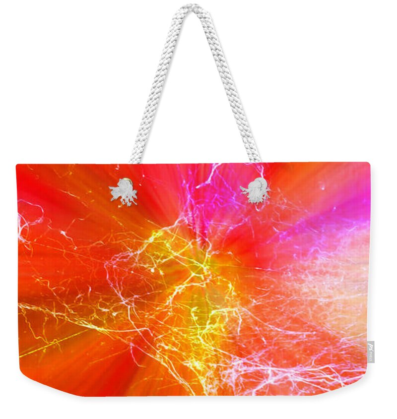 Spider Weekender Tote Bag featuring the photograph Charlotte's Sunburst by Judy Kennedy