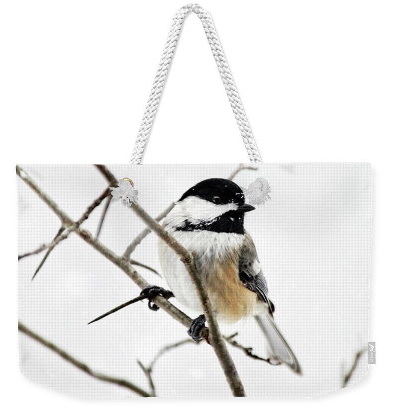 Chickadee Weekender Tote Bag featuring the photograph Charming Winter Chickadee by Christina Rollo