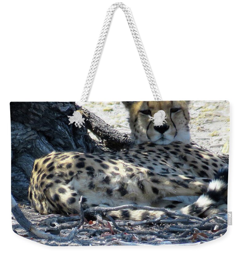 Africa Weekender Tote Bag featuring the photograph Cheetah by Eric Pengelly
