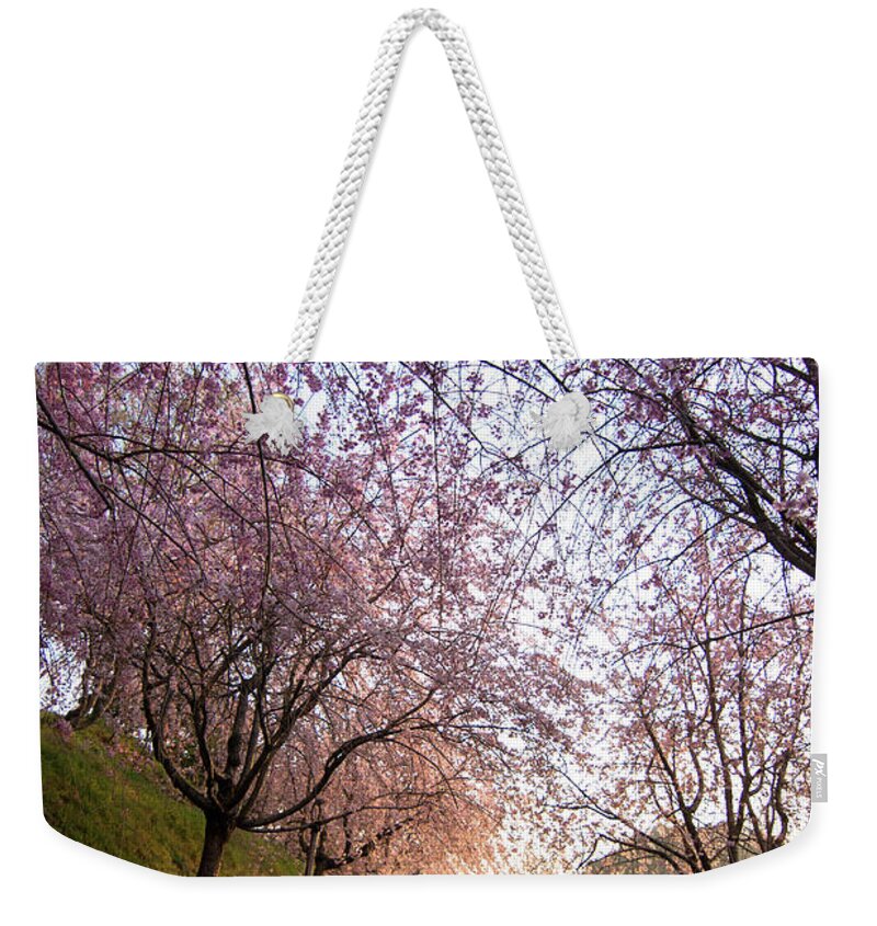 Outdoors Weekender Tote Bag featuring the photograph Cherry Blossom Along Road by Herica Suzuki