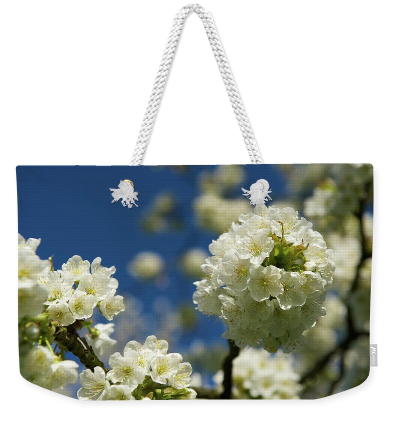 Season Weekender Tote Bag featuring the photograph Cherry Blossom by Ra-photos
