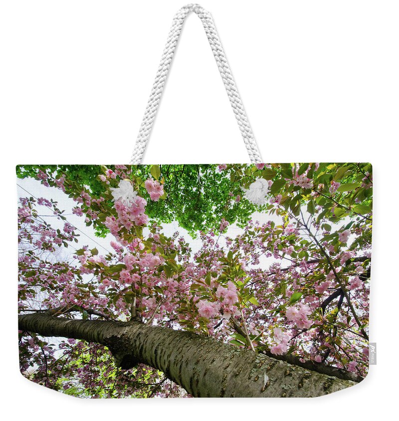 Cherry Blossoms Weekender Tote Bag featuring the photograph Cherry Blossoms Flowers by Crystal Wightman