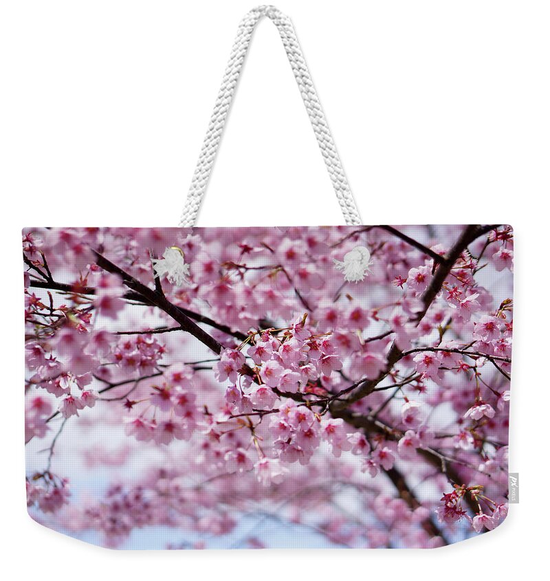 Outdoors Weekender Tote Bag featuring the photograph Cherry Blossoms by Invisiblea