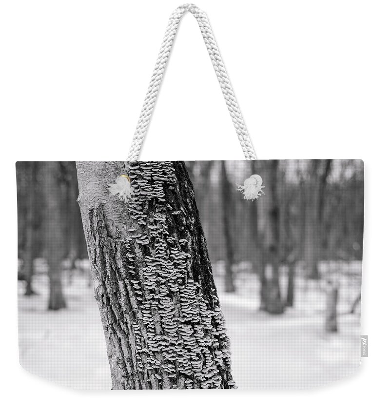 Winterpacht Weekender Tote Bag featuring the photograph Chicago Winter Trees by Miguel Winterpacht