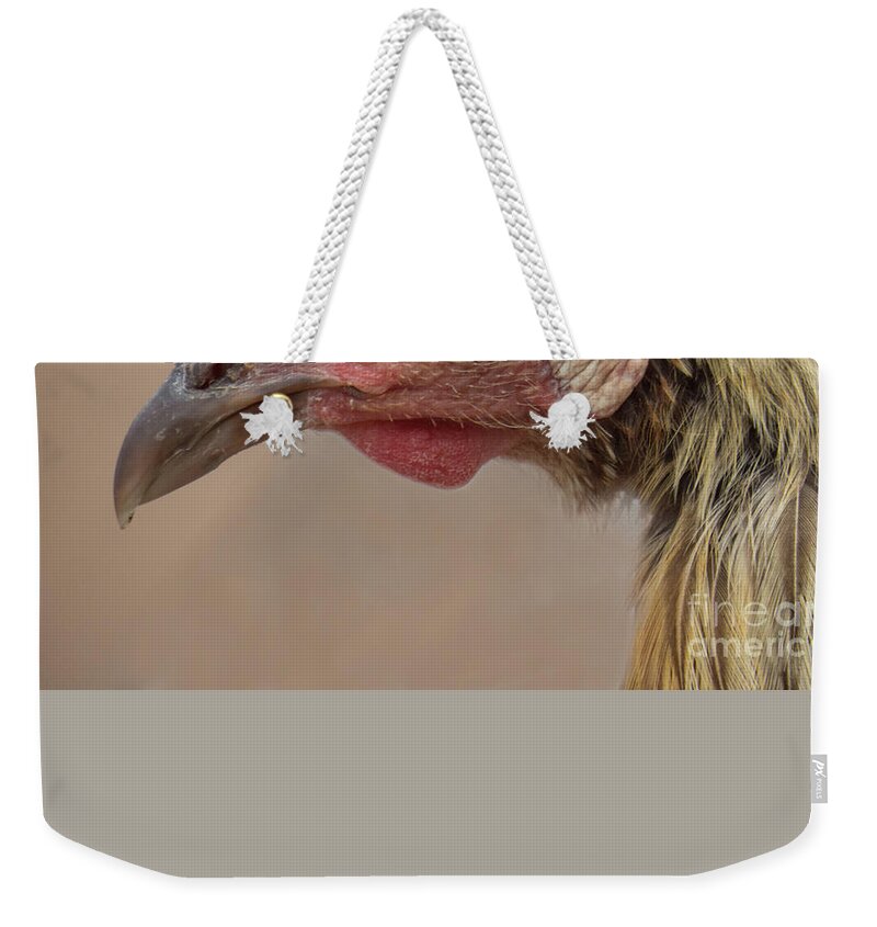  Weekender Tote Bag featuring the photograph Chicken Face 2 by Christy Garavetto