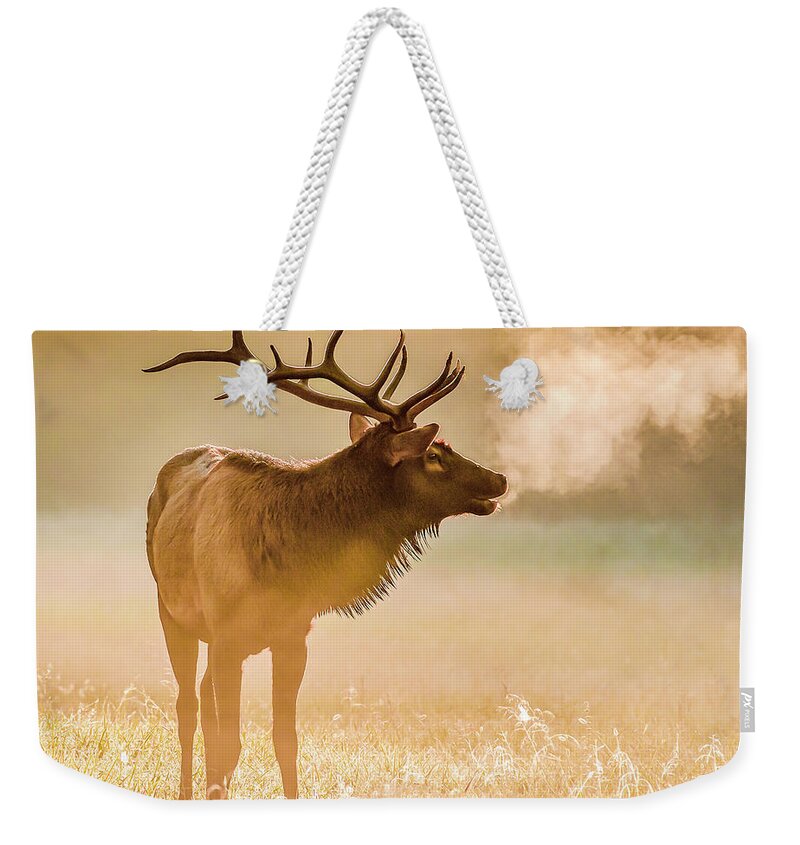Elk Weekender Tote Bag featuring the photograph Frosty Bugle Breath by Marcy Wielfaert