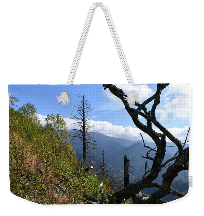 Chimney Tops Weekender Tote Bag featuring the photograph Chimney Tops 12 by Phil Perkins