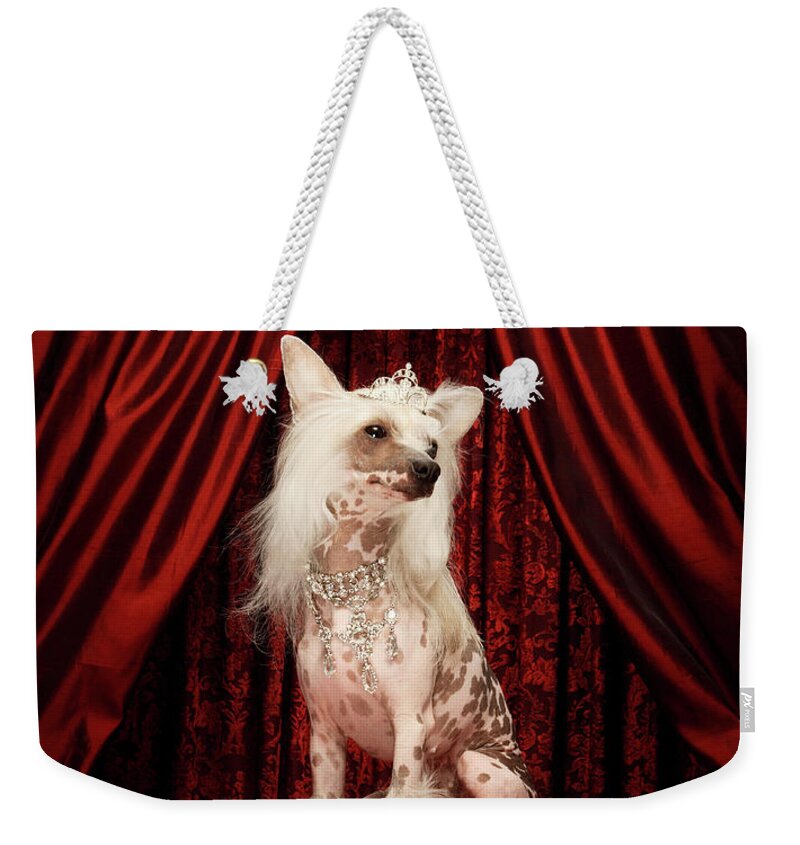 Pets Weekender Tote Bag featuring the photograph Chinese Crested Dog Wearing Tiara by Karen Moskowitz