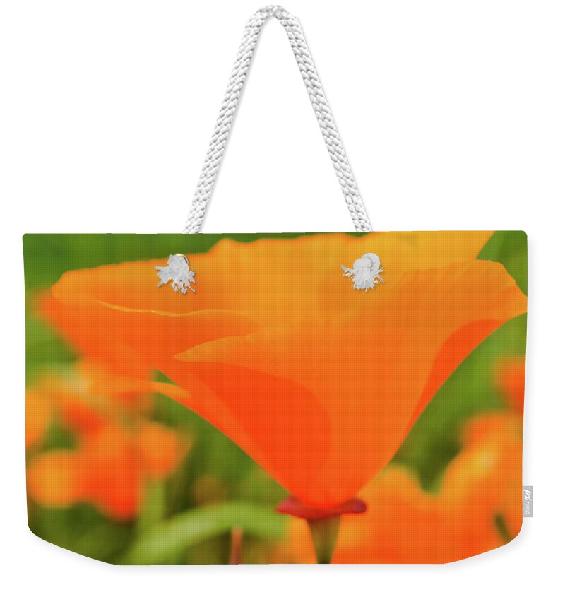 Poppy Weekender Tote Bag featuring the photograph Chino Hills Poppy Portrait by Kyle Hanson