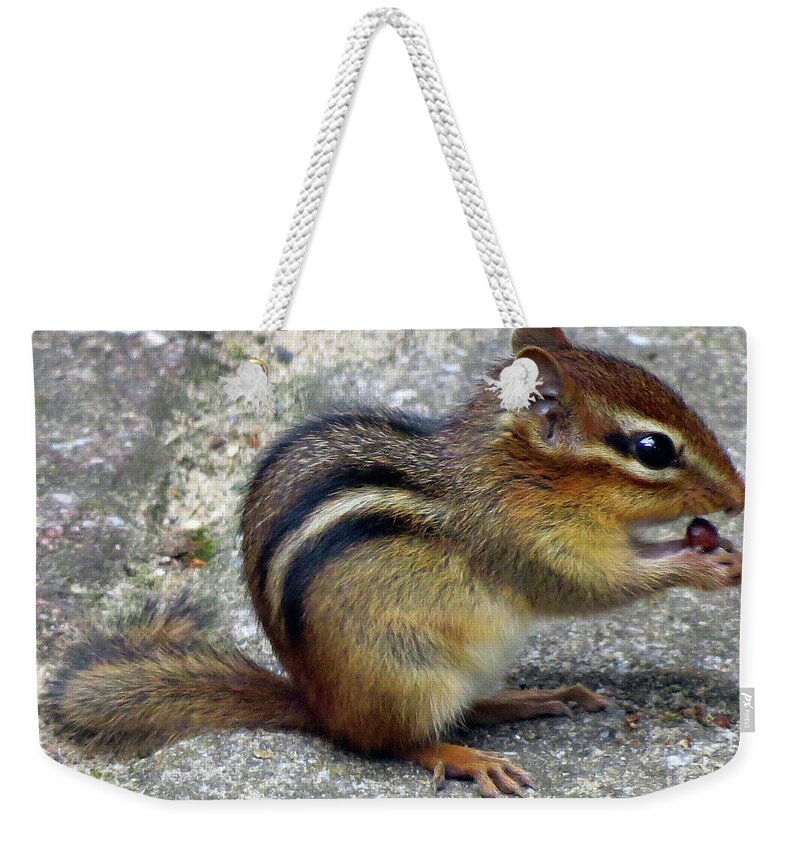 Chipmunk Weekender Tote Bag featuring the photograph Chipmunk Eating a Grape by Linda Stern