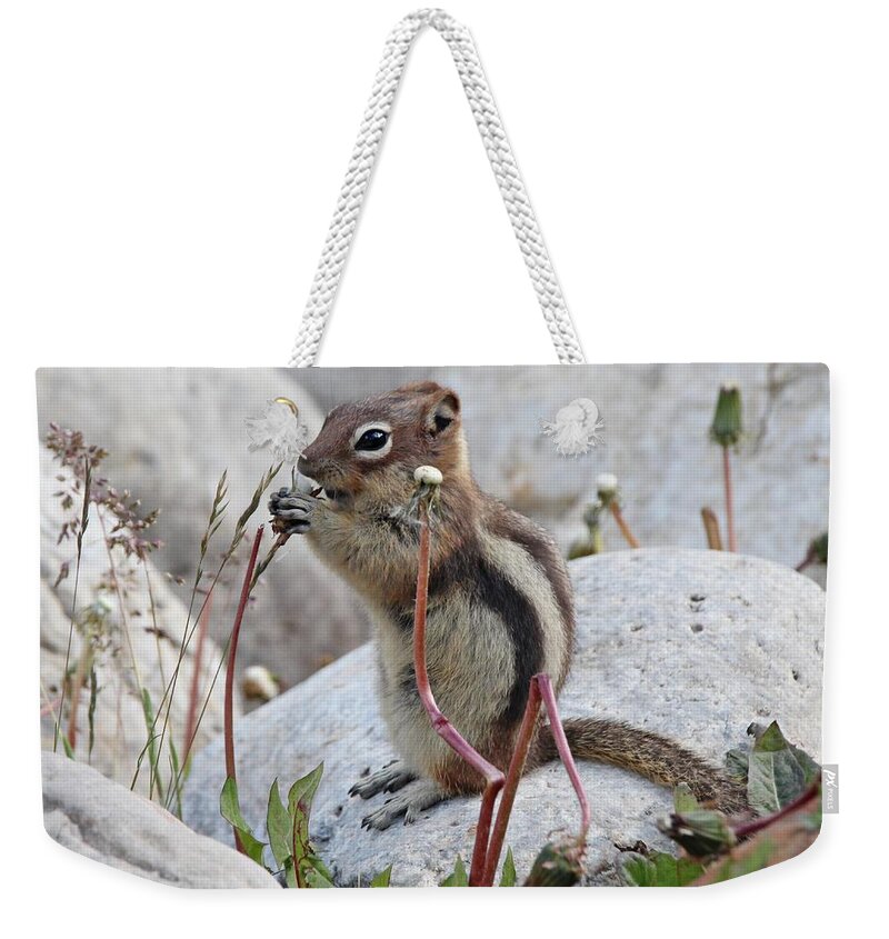 Chipmunk Weekender Tote Bag featuring the photograph Chipmunk Eating Dandelions by Marlin and Laura Hum