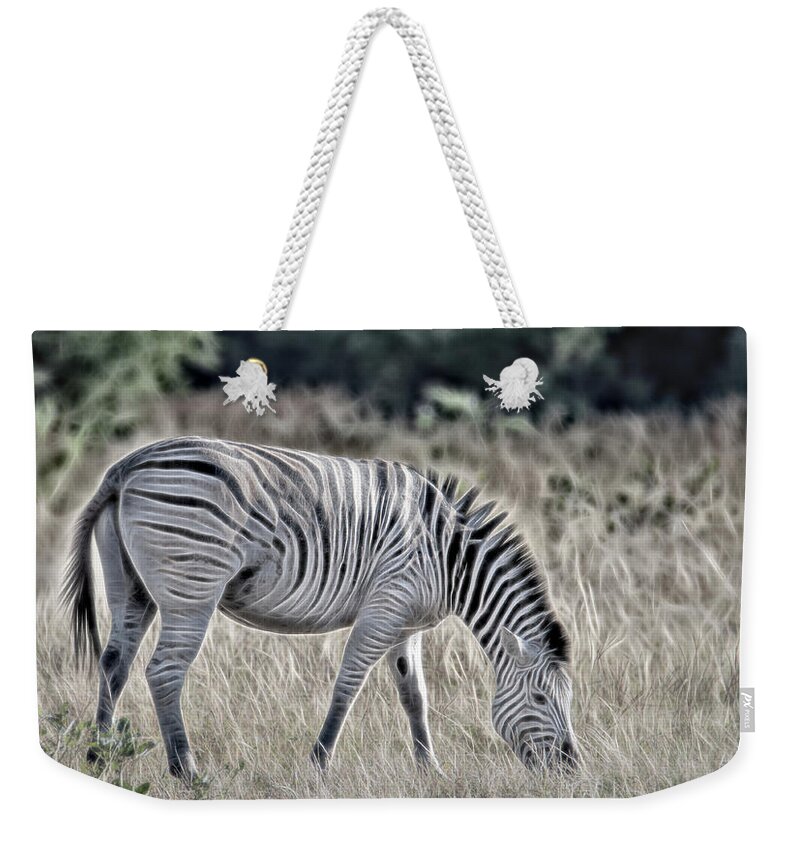  Weekender Tote Bag featuring the photograph Chobe Zebra, Painterly by Marcy Wielfaert