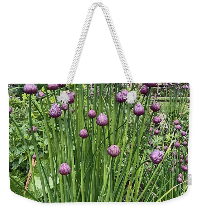 Chorley Weekender Tote Bag featuring the photograph CHORLEY. Astley Hall. Walled Garden Chive Flowers. by Lachlan Main