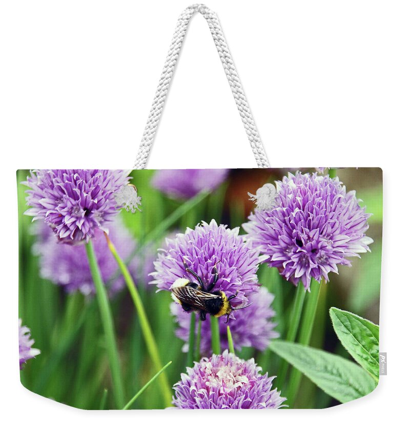 Chorley Weekender Tote Bag featuring the photograph  CHORLEY. Picnic In The Park. Bee In The Chives. by Lachlan Main