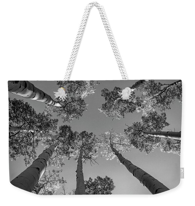 Dixie National Forest Weekender Tote Bag featuring the photograph Circle of Friends by Donna Kennedy