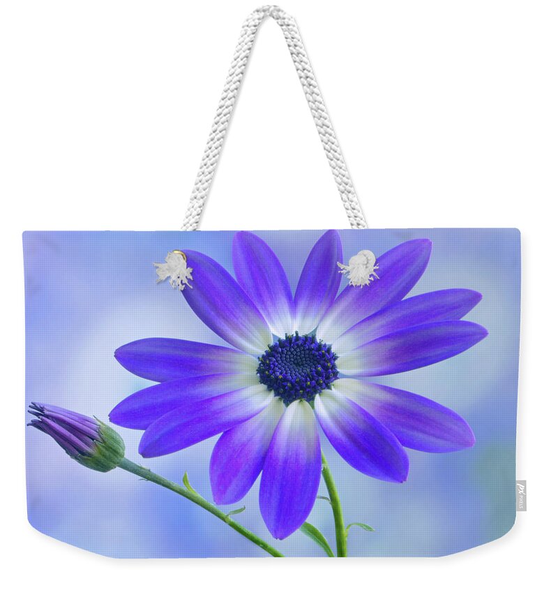 Senetti Weekender Tote Bag featuring the photograph Classic Senetti by Terence Davis