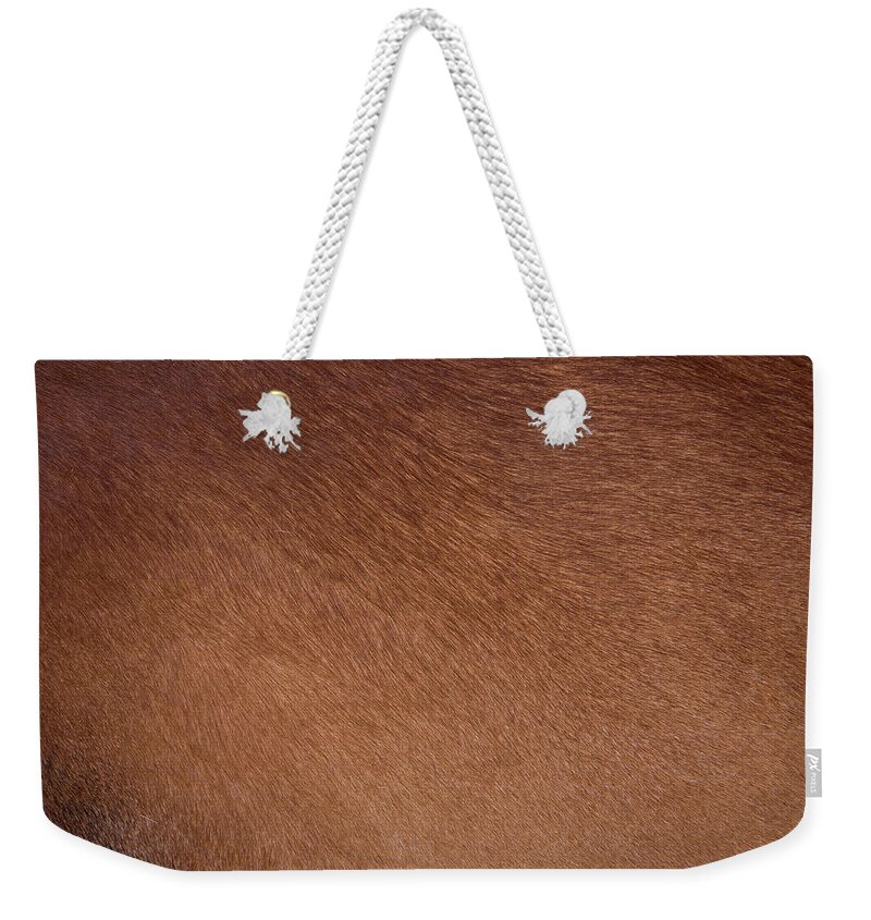 Animal Skin Weekender Tote Bag featuring the photograph Clean Brown Coat Of Hair On A Cow by Huseyintuncer