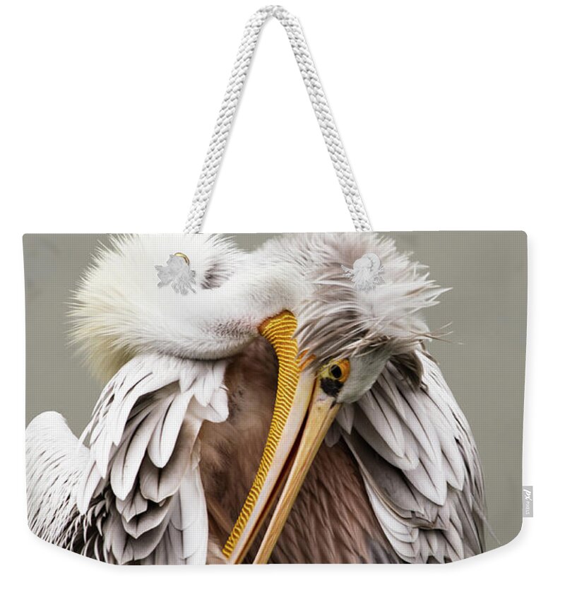 Animal Themes Weekender Tote Bag featuring the photograph Cleaning The Feathers by Kerstin Meyer